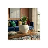 CANBOTANİK Yuvarlak Ofis - Bahçe - Ev Saksısı - Modern Şık Salon saksı 20 cm -Yuvarlak-Küre Saksı İçlikli