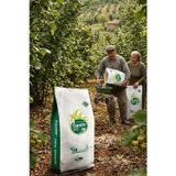 Candem Canfit 30-10-10+6 SO3 NPK Gübre 25 Kg