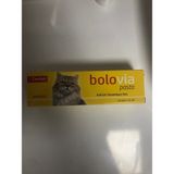 Candioli Bolovia Kedi Maltı