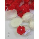 Candles Flame 15 Adet Söz Nişan Kına Nikah Hatırası Süslemeli Istiridye Kokulu Hediyelik Mum