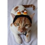 Candy Corn Bandana Örgü Kedi Köpek Şapkası Halloween Fotoğraf Dekoru Pet Aksesuar