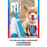 CandyShine Deluxe Mucize Koltuk Kıyafet Halı Tüy Toplayıcı Fırça Seti ve Tüy Toplayıcı Eldiven Premium Kalite
