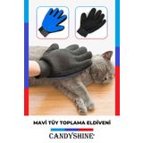 CandyShine Kedi Köpek Tüy Toplayıcı Masaj Yapıcı Tarama Eldiveni Evcil Hayvan Tüy Toplama Tarak Eldiven Mavi