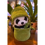 Canestar Özel Hediye Bambu Panda Özel Kese Tasarımlı Peluş Panda Oyuncak