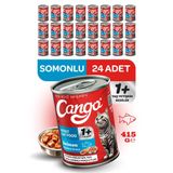 Cango Yetişkin Yaş Kedi Maması Somonlu 415Gr 24Lü