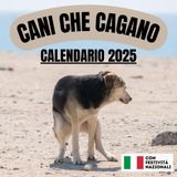 Cani che cagano Calendario 2025: 12 mesi profumati 12 immagini di cani cagati | Idea regalo stupido e divertente per amici | Libri e oggetti strani