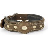 Canini Collar Canini Collar Hakiki Yağlı Deri Airtag Uyumlu Köpek Tasması – Dayanıklı, Konforlu ve Şık Tasarım, Airtag Bölmeli Gerçek Deriden Köpekler İçin Tasma - Kahverengi