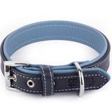 Canini Collar Hakiki Flotter Deri Köpek Tasması, Çift Katlı Deri, Ultra Dayanıklı Tasma (Lacivert-Mavi, XS)
