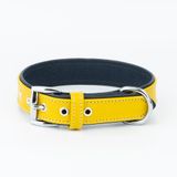 Canini Collar Hakiki Flotter Deri Köpek Tasması, Çift Katlı Deri, Ultra Dayanıklı Tasma (Sarı-Lacivert, XL)
