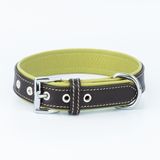 Canini Collar Hakiki Flotter Deri Köpek Tasması, Çift Katlı Deri, Ultra Dayanıklı Tasma (Yeşil-Kahverengi, M)