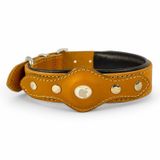 Canini Collar Hakiki Klasik Deri Airtag Uyumlu Köpek Tasması – Dayanıklı, Konforlu ve Şık Tasarım, Airtag Bölmeli Gerçek Deriden Köpekler İçin Tasma (Taba, M)