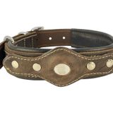 Canini Collar Hakiki Yağlı Deri Airtag Uyumlu Köpek Tasması – Dayanıklı, Konforlu ve Şık Tasarım, Airtag Bölmeli Gerçek Deriden Köpekler İçin Tasma (Kahverengi, S)