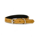 Canini Collar Rainbow Hakiki Deri Köpek Tasması – XXS Beden, Yumuşak İç Deri, Krom Kaplamalı Toka & D-Halka, 13 Farklı Renk Seçenekleri (Taba)