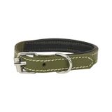 Canini Collar Rainbow Hakiki Deri Köpek Tasması – XXS Beden, Yumuşak İç Deri, Krom Kaplamalı Toka & D-Halka, 13 Farklı Renk Seçenekleri (Yeşil)