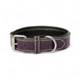 Canini Collar Rainbow S Hakiki Deri Orta & Küçük Köpek Tasması – S Beden, Orta ve Küçük Köpekler İçin Tasma, Yumuşak İç Deri, Krom Kaplamalı Toka & D-Halka, 10 Farklı Renk Seçenekleri (Mor)
