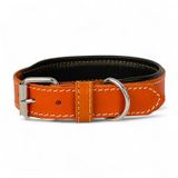 Canini Collar Rainbow S Hakiki Deri Orta & Küçük Köpek Tasması – S Beden, Orta ve Küçük Köpekler İçin Tasma, Yumuşak İç Deri, Krom Kaplamalı Toka & D-Halka, 10 Farklı Renk Seçenekleri (Oranj)