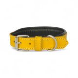 Canini Collar Rainbow S Hakiki Deri Orta & Küçük Köpek Tasması – S Beden, Orta ve Küçük Köpekler İçin Tasma, Yumuşak İç Deri, Krom Kaplamalı Toka & D-Halka, 10 Farklı Renk Seçenekleri (Sarı)