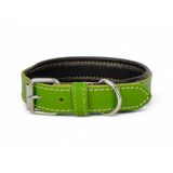 Canini Collar Rainbow S Hakiki Deri Orta & Küçük Köpek Tasması – S Beden, Orta ve Küçük Köpekler İçin Tasma, Yumuşak İç Deri, Krom Kaplamalı Toka & D-Halka, 10 Farklı Renk Seçenekleri (Yeşil)