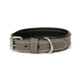 Canini Collar Rainbow XS Hakiki Deri Küçük Köpek Tasması – XS Beden, Küçük ve Mini Köpekler İçin Tasma, Yumuşak İç Deri, Krom Kaplamalı Toka & D-Halka, 7 Farklı Renk Seçenekleri (Gri)