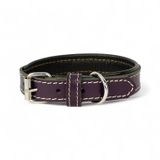Canini Collar Rainbow XS Hakiki Deri Küçük Köpek Tasması – XS Beden, Küçük ve Mini Köpekler İçin Tasma, Yumuşak İç Deri, Krom Kaplamalı Toka & D-Halka, 7 Farklı Renk Seçenekleri (Mor)