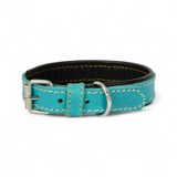 Canini Collar Rainbow XS Hakiki Deri Küçük Köpek Tasması – XS Beden, Küçük ve Mini Köpekler İçin Tasma, Yumuşak İç Deri, Krom Kaplamalı Toka & D-Halka, 7 Farklı Renk Seçenekleri (Turkuaz)
