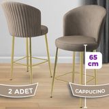 Canisa Alte Serisi 2 Adet Babyface Kumaş 65 cm Gold Kaplama Ayaklı Bar Sandalyesi - Ahşap