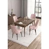Canisa Are Serisi MDF 80x132 cm Açılabilir Barok Ahşap Desen 4 Sandalye Gümüş Halkalı Pembe Mutfak Masası Takımı