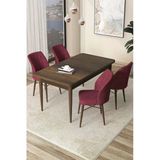 Canisa Arp Serisi 70X110 Sabit Mutfak Masası Takımı Barok Desen Masa 4 Bordo Sandalye