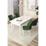 Canisa Arp Serisi 70X110 Sabit Mutfak Masası Takımı Beyaz Masa 4 Haki Yeşil Sandalye