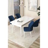 Canisa Arp Serisi 70X110 Sabit Mutfak Masası Takımı Beyaz Masa 4 Lacivert Sandalye