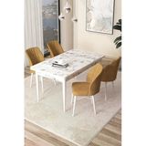 Canisa Arp Serisi 70X110 Sabit Mutfak Masası Takımı Beyaz Mermer Desen Masa 4 Cappucino Sandalye