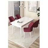 Canisa Arp Serisi Beyaz 70x110 cm Sabit Bordo Mutfak Masa Takımı