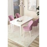 Canisa Arp Serisi, Beyaz Masa 71X110 Sabit Yemek Odası Takımı, 4 Pembe Sandalye