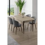 Canisa Asfel Serisi MDF 77x130 Traverten Yandan Açılabilir Mutfak Masası Takımı 4 Gri Sandalye