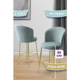 Canisa Concept Alte Serisi 2 Adet Babyface Kumaş 65 Cm Gold Kaplama Ayaklı Su Yeşili Bar Sandalyesi