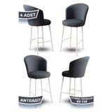 Canisa Concept Alte Serisi Babyface Antrasit Kumaş Beyaz Metal Ayak 4 Adet Bar Sandalyesi