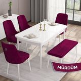 Canisa Concept Are Serisi 80 x 132 cm Mdf Beyaz Mutfak Masa Takımı 4 Sandalye Gümüş Halkalı ve 1 Bench - Mürdüm