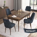 Canisa Concept Are Serisi 80 x 132 cm Mdf Masa Barok Ahşap Desen Masa Takımı 4 Sandalye Gümüş Halkalı - 80x132 - Antrasit