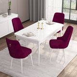 Canisa Concept Are Serisi, 80X132 Açılabilir Mdf Masa, Beyaz Mutfak Masa Takımı, 4 Sandalye - Mürdüm