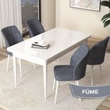 Canisa Concept Arp Serisi 70x110 cm Sabit Beyaz Masa 4 Sandalye Füme Mutfak Masası Takımı
