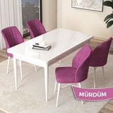Canisa Concept Arp Serisi 70x110 cm Sabit Beyaz Masa 4 Sandalye Mor Mutfak Masası Takımı