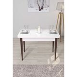 Canisa Concept Arp Serisi 70x110 cm Sabit Beyaz Masa, Ceviz Ayak, Mutfak Masası