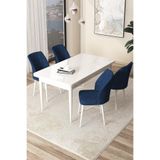 Canisa Concept Arp Serisi 70x110 cm Sabit Mutfak Masası Takımı, Beyaz Masa, 4 Lacivert Sandalye