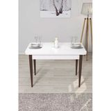 Canisa Concept Arp Serisi 70x110 Sabit Beyaz Masa Ceviz Ayak Mutfak Masası