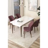 Canisa Concept Arp Serisi 70X110 Sabit Mutfak Masası Takımı Beyaz Ceviz Masa 4 Gül Kurusu Sandalye