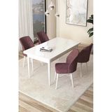 Canisa Concept Arp Serisi 70X110 Sabit Mutfak Masası Takımı Beyaz Masa 4 Gül Kurusu Sandalye