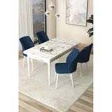 Canisa Concept Arp Serisi 70X110 Sabit Mutfak Masası Takımı Beyaz Mermer Desen Masa 4 Lacivert Sandalye