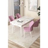 Canisa Concept Arp Serisi 70X110 Sabit Mutfak Masası Takımı Beyaz Mermer Desen Masa 4 Pembe Sandalye
