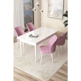 Canisa Concept Arp Serisi, Beyaz Masa 71X110 Sabit Yemek Odası Takımı, 4 Pembe Sandalye
