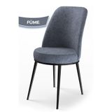 Canisa Concept Dexa Serisi Mutfak Sandalyesi, Metal Siyah Iskeletli, Füme, 45x42x89 cm
